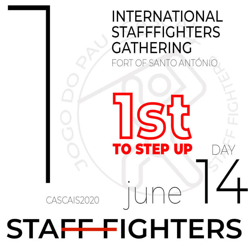 1st to step up promotion to product image 1 day pass 14 of june to the international stafffighters gathering