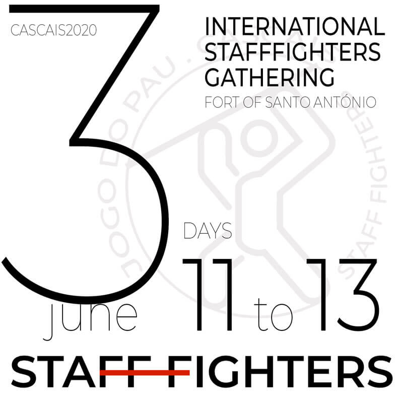 product image 3 days pass 11 to 13 to the international stafffighters gathering