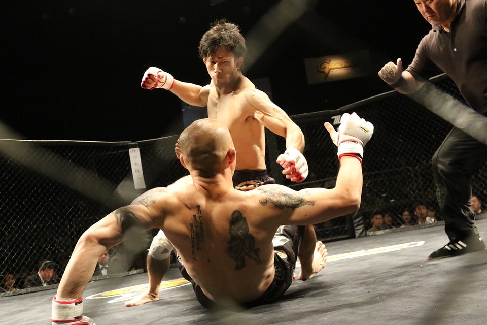 mixed martial arts in stafffighters